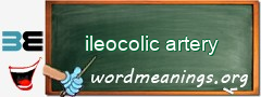 WordMeaning blackboard for ileocolic artery